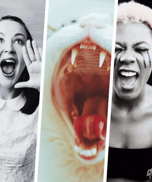 A collage of people screaming with a cat hidden in the middle